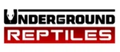 Underground Reptiles logo