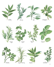 Herb Chartby Chris Paschke