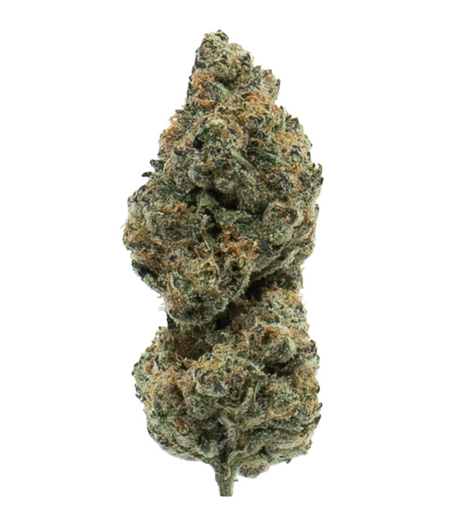 APPLE TART (INDOOR) THC-A Hemp Flower