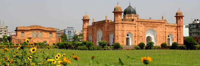 Book flights to Dhaka (DAC)