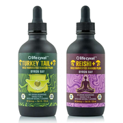 Immunity Pack - Turkey Tail & Reishi