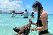 Swimming Pigs, Boat Tour, Snorkeling, Beach Break Package