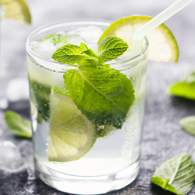 Spearmint Mint (2 Pack)