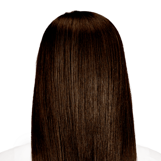Dark Chocolate Brown Hair Color | Bolzano Brown | Hints of Gold