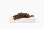 Orthopedic Pet Bed