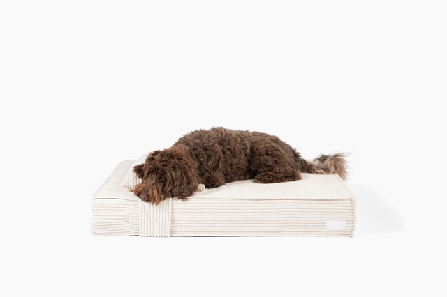 Orthopedic Pet Bed