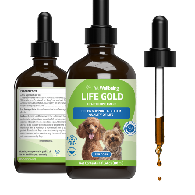 Life Gold - Immune, Antioxidant, and Detoxification Support for Dogs