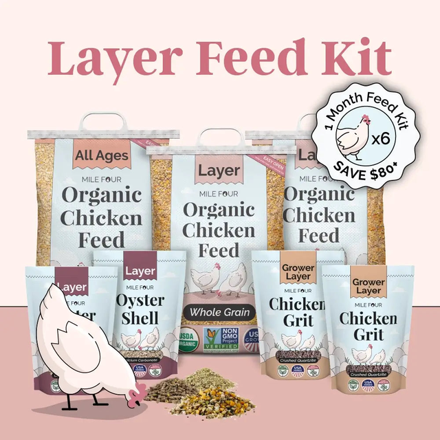 Layer Feed Kit | 1 Month of Organic Feed, Scratch, Grit & Oyster Shell for 6 Layers