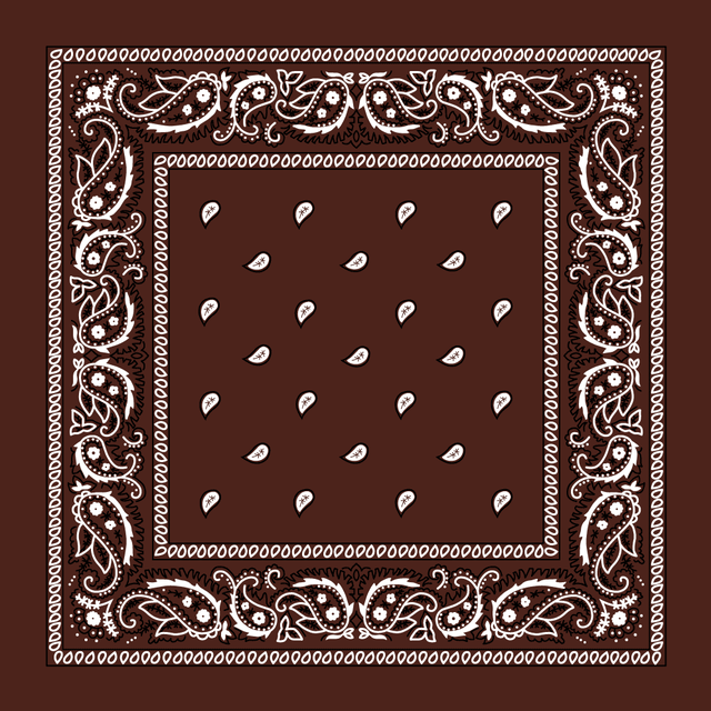 Dark Brown Paisley Bandana Imported 100% Cotton 22X22 Inches 12 Pieces