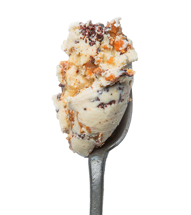 Double Peanut Butter Chip