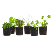 Grow Pack (80 Credits)