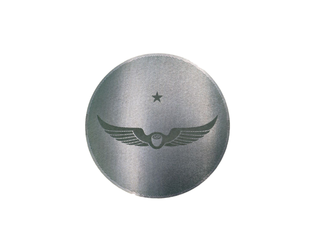 Sworksdesigns Puck Disc