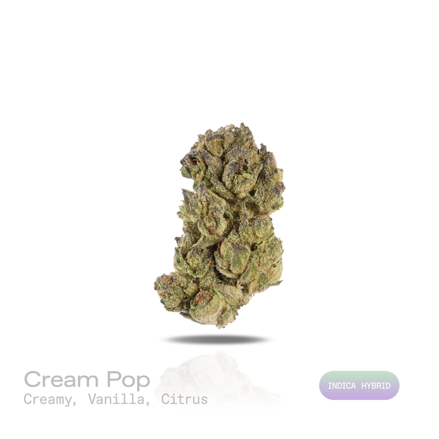 THC-A Flower - Cream Pop - (Indoor) (Indica Hybrid)