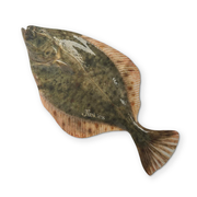 A FLOUNDER YOU CAN CLEAN YOUR GLASSES WITH