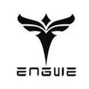 Engwe logo