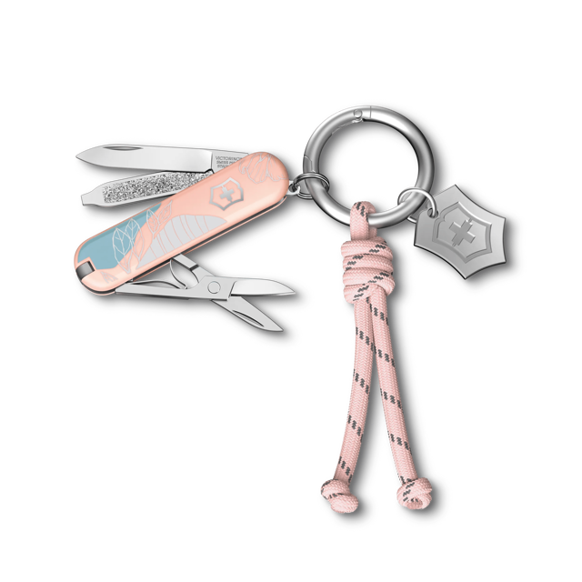 Classic SD Paris Style