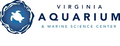 Virginia Aquarium & Marine Science Center logo