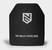 Level 3+ Ceramic Plate 10×12″