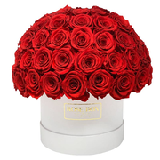 Signature White Extra Large Box with Half Ball of 80 Roses