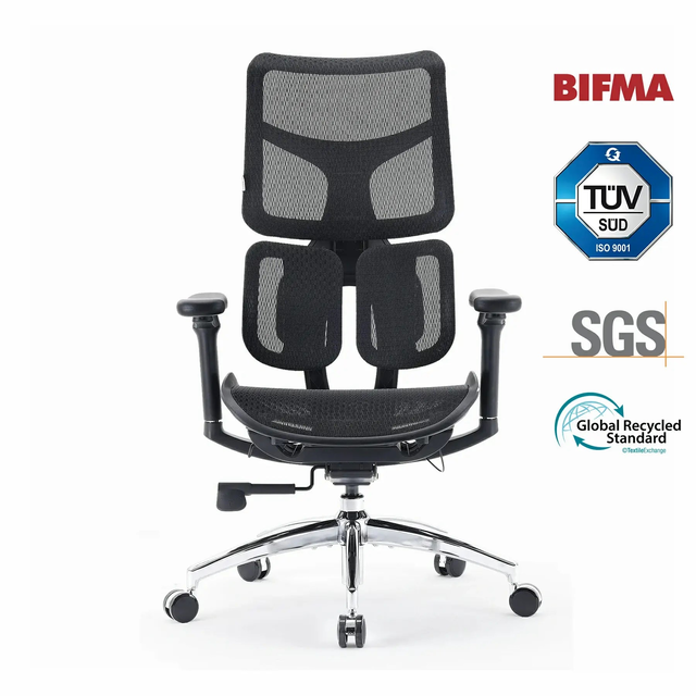 Sihoo Doro S100 Ergonomic Office Chair With Dual Dynamic Lumbar Support
