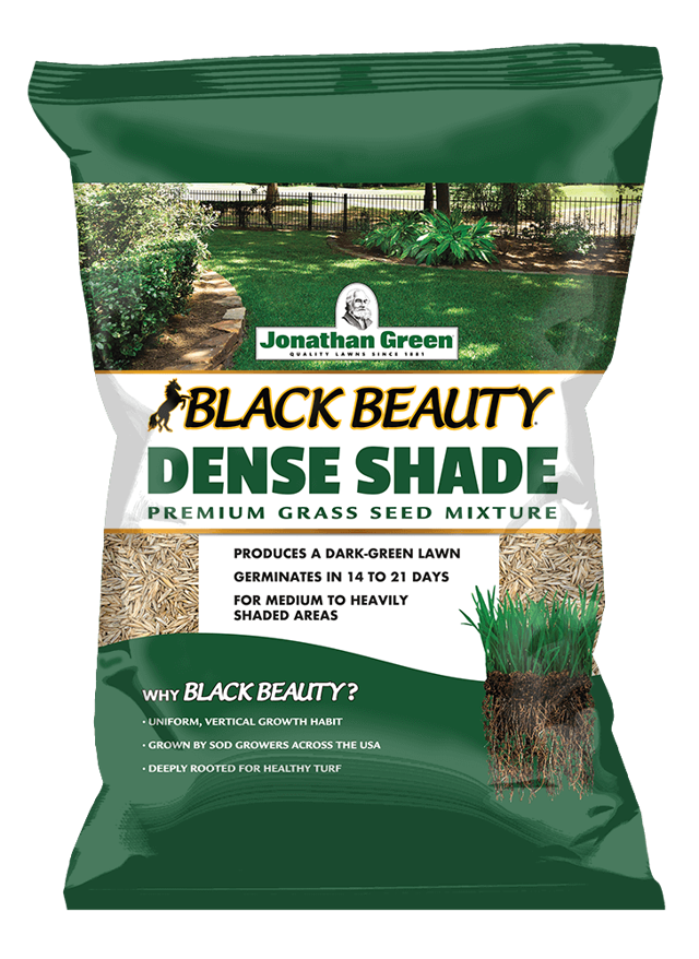 Black Beauty® Dense Shade Grass Seed