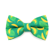 Pet Bow Tie - "Going Bananas - Green" - Banana Cat Bow Tie / Spring + Summer / For Cats + Small Dogs (One Size)