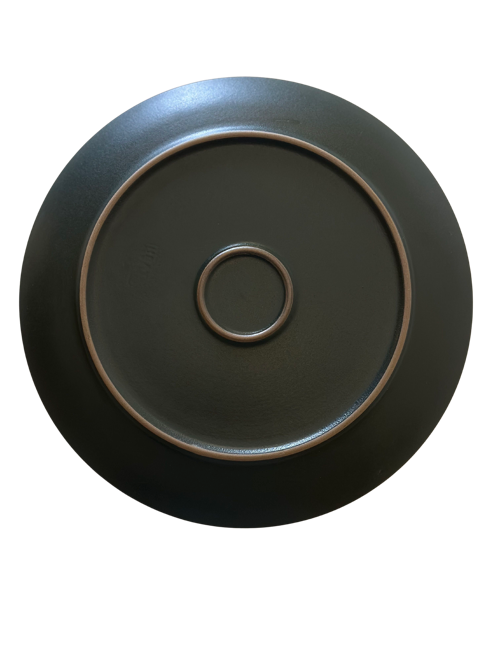 Seasonal Teal Green Coupe Line Dinner Plate