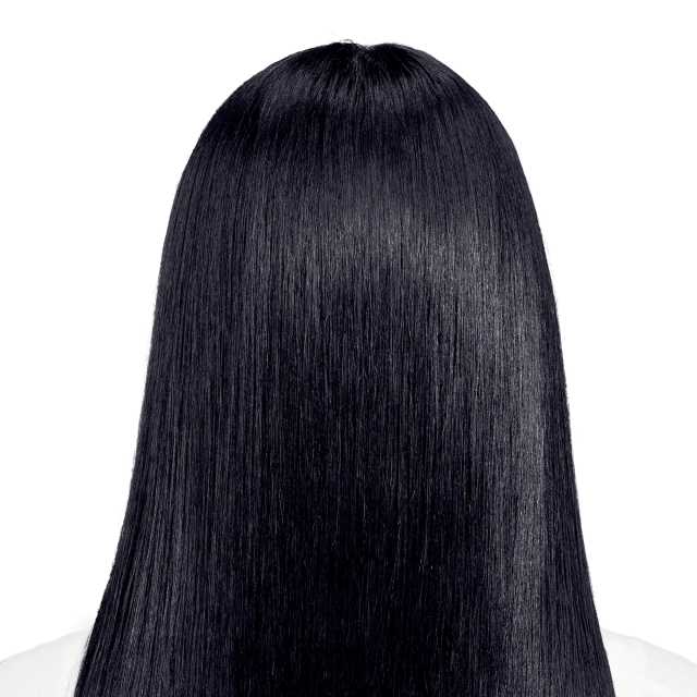 Perugia Black - Sapphire black hair color with hints of blue.