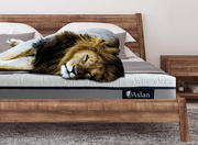 10" Aslan GEL Memory Foam Mattress