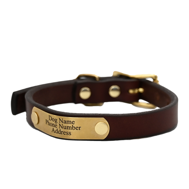 Personalized Small Dog Collar