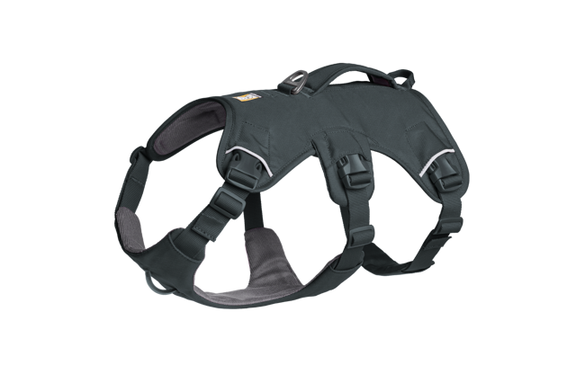 Web Master™ Dog Harness with Handle