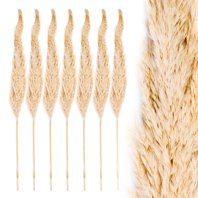 Set of 96 Wholesale Pampas Grass Decor Plumes