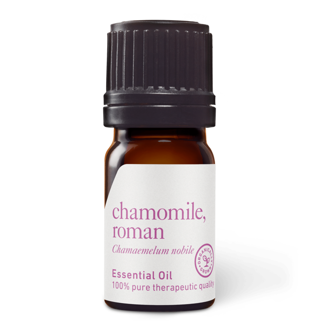 Chamomile Roman Essential Oil