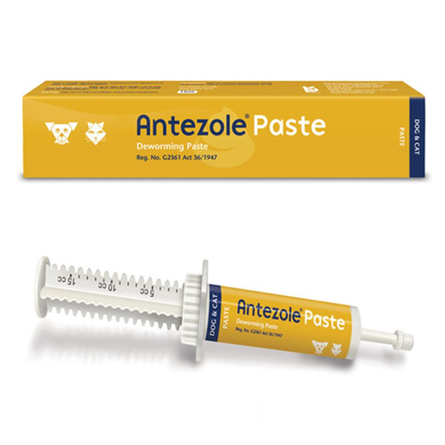 Antezole Paste for Dogs & Cats
