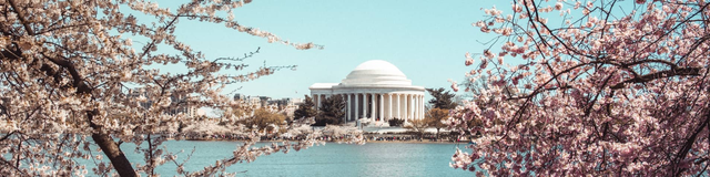 Search & book flights to United States