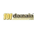 101 Domain logo
