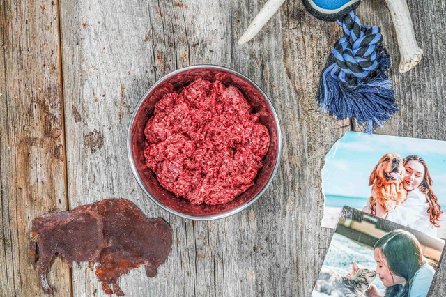 Bison Pet Blend Raw