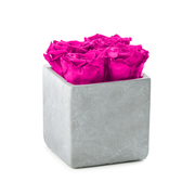 Mini Gray Slate with Neon Pink Roses