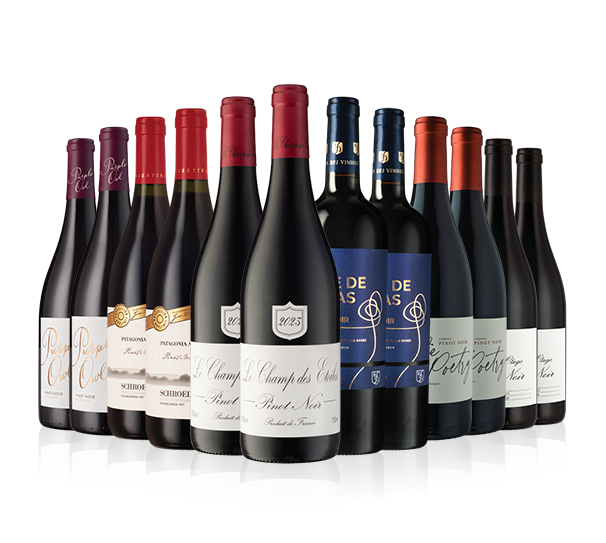 International Pinot Noir