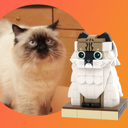 Custom Pet Brick Figure Fully Body Customizable 1 Cat Photo Brick Figures Customized Cat Only