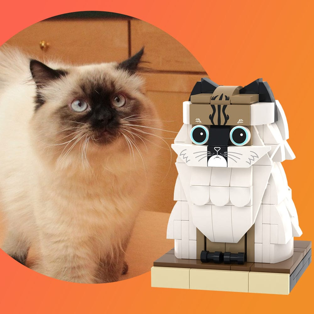 Custom Pet Brick Figure Fully Body Customizable 1 Cat Photo Brick Figures Customized Cat Only