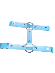 Baby blue leg garter