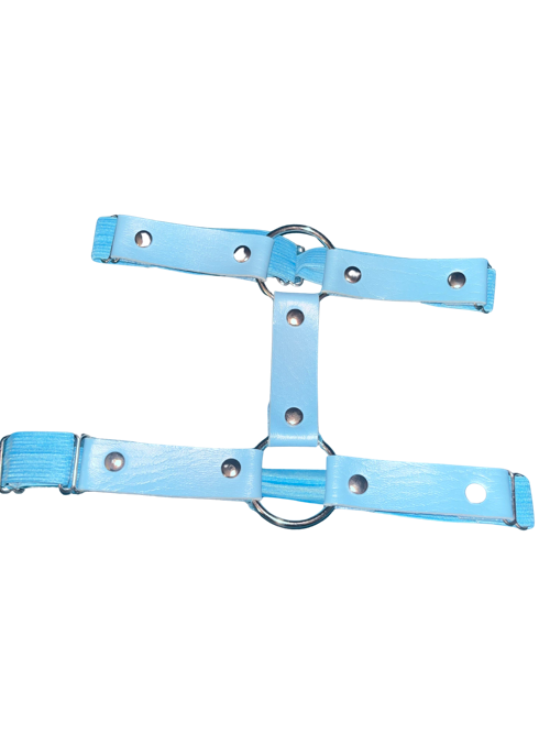 Baby blue leg garter