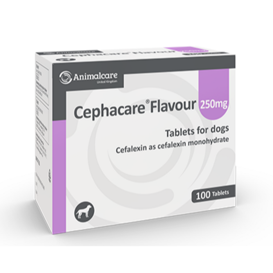 Cephacare® Flavoured Tablets for Dogs 250mg