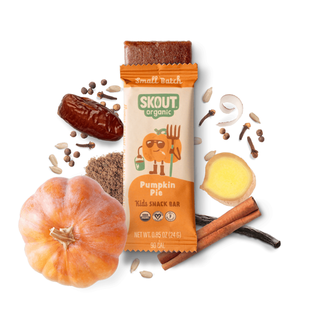 Skout Organic Pumpkin Pie Kids Bar
