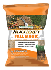Black Beauty® Fall Magic Grass Seed