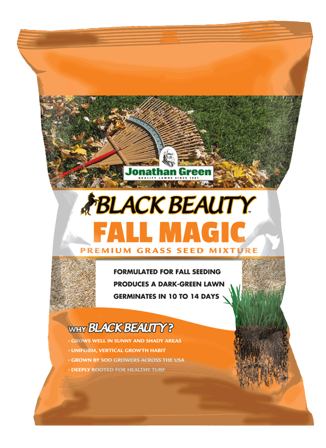 Black Beauty® Fall Magic Grass Seed