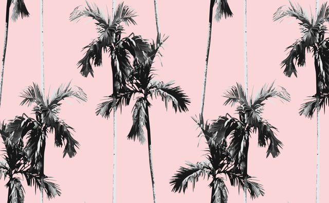 Forever Palms | Wallpaper