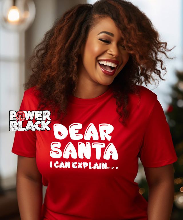 Dear Santa I Can Explain . . .