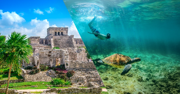 Tulum, Turtles & Cenote